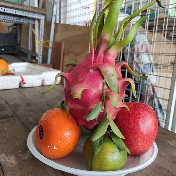 Mâm ngũ quả số 47